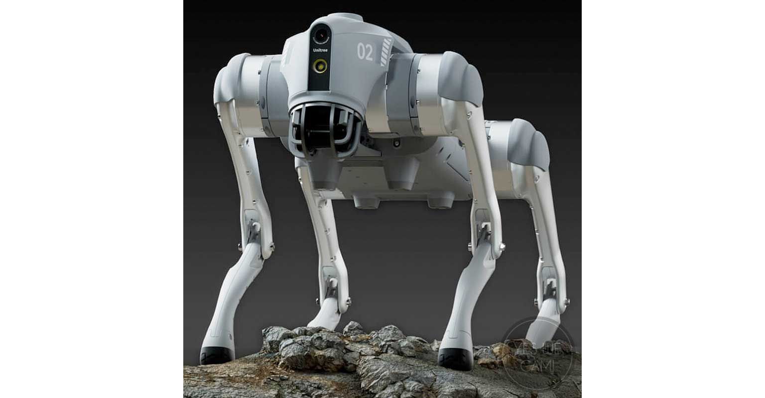 Unitree GO2 Robot Dog - Alle Modelle auf einen Blick!