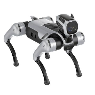 MagicDog EDU