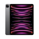 Apple iPad Pro 12.9 Wi-Fi + Cellular 128 GB spacegrau - 6. Gen. TrueTone