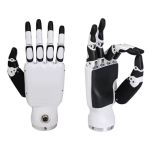 Vorder- und Rückansicht der Inspire Robots RH56DFX Roboterhand mit sechs Freiheitsgraden, zwölf Gelenken und Kraftsensorik.