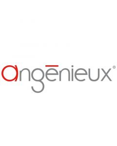 Angenieux EF-Mount für EZ-1 und EZ-2 Objektiv Wechselmount