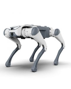 DEEP Robotics SID1 Baisc Echtzeit-Übertragung