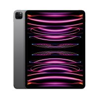 Apple iPad Pro 12.9 Wi-Fi spacegrau - 6. Gen. Tablet