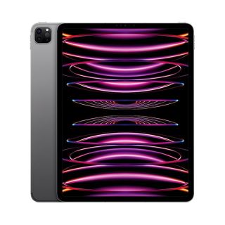 Apple iPad